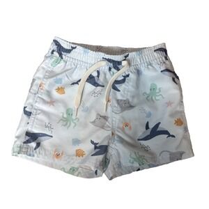 Quince Baby Boys Light Blue Sea Creature Draw String Swim Trunks Sz 9-12 Mos